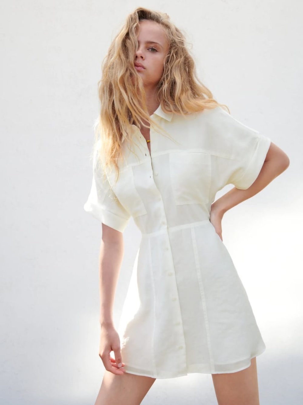 Zara Button Down  Shirt Dress